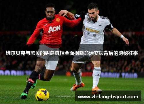 维尔贝克与黑贝的纠葛真相全面揭晓命运交织背后的隐秘往事 维尔贝克与黑贝的纠葛真相全面揭晓命运交织背后的隐秘往事